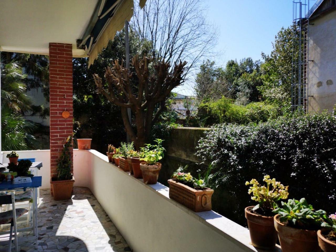 Wanderlust Bnb Pisa Exteriér fotografie