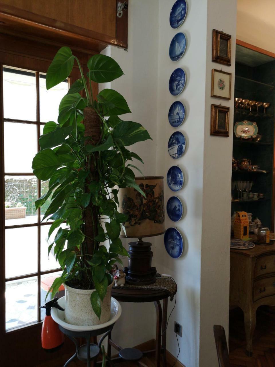 Wanderlust Bnb Pisa Exteriér fotografie